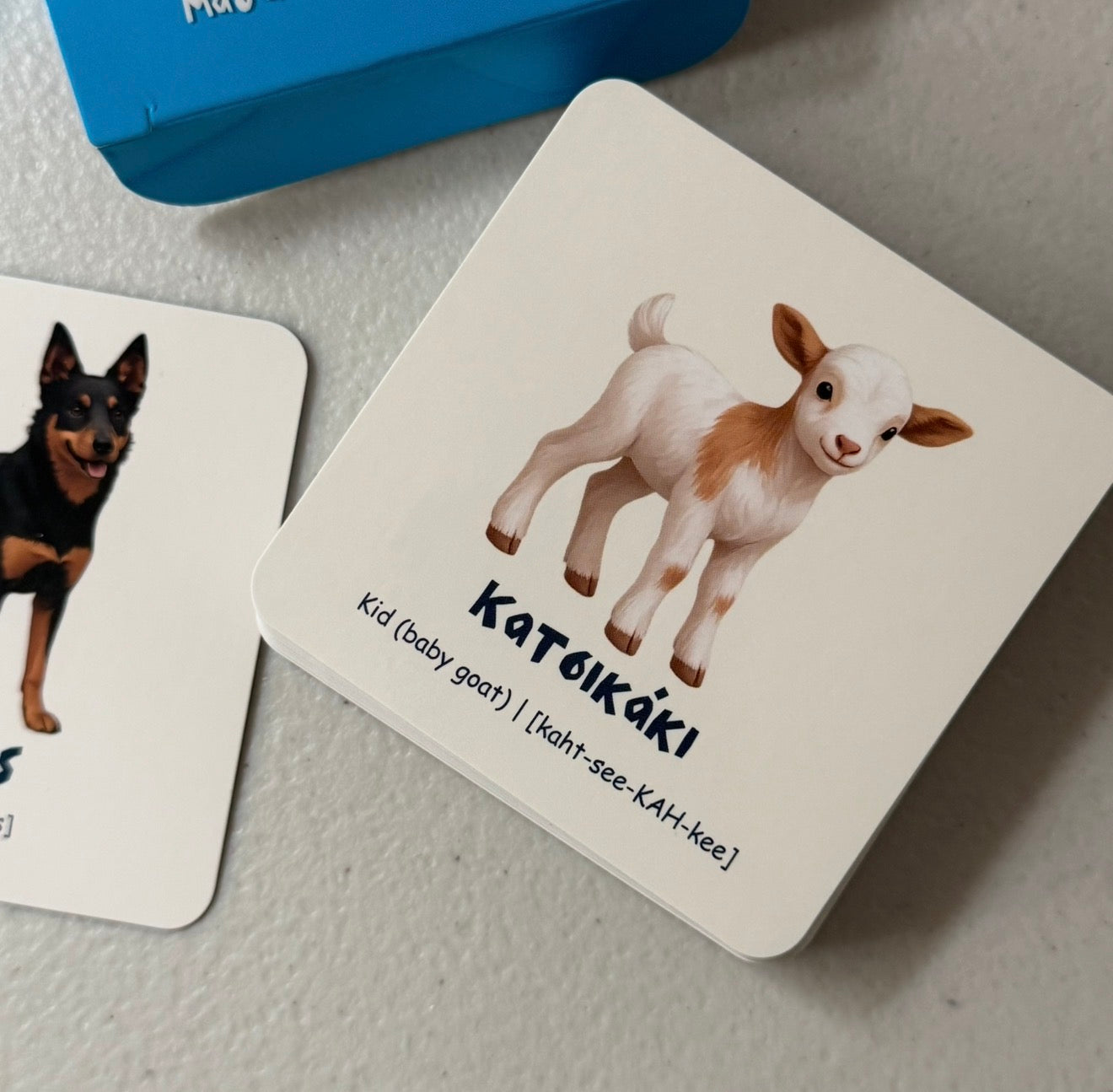 My First Farm Animals in Greek ™ | Memory & Snap Game